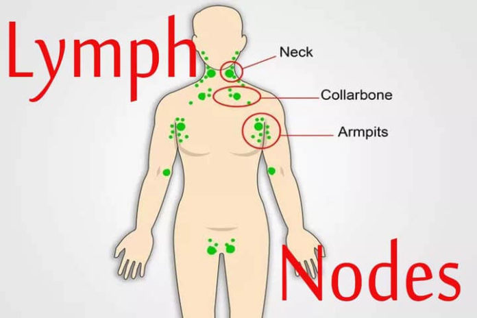 Natural Remedies For Your Lymphatic Nodes